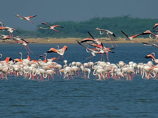 இருக்கம் தீவு 