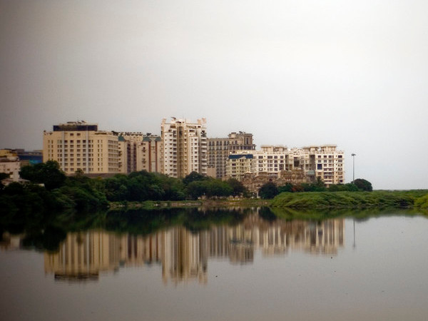 திமிங்கல தீவு