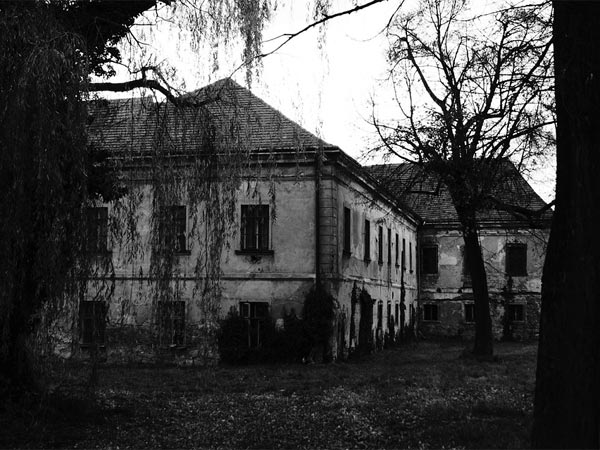 தி ஸ்விஃப்டைஸ்ட் தேர்ந்தெடுத்த 7 காரணிகள்