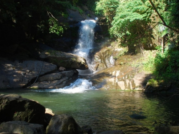 பாலக்காடு