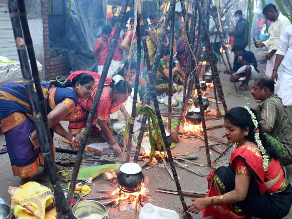 Pongal