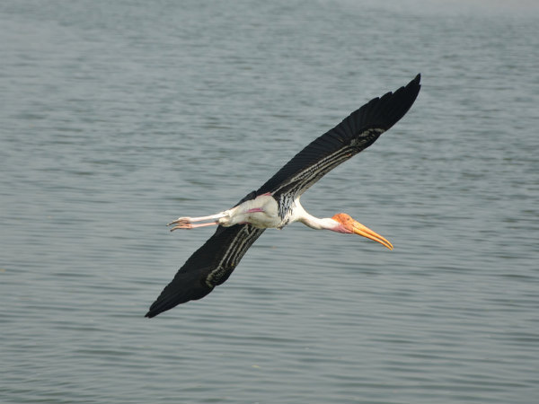 நுழைவு கட்டணம்