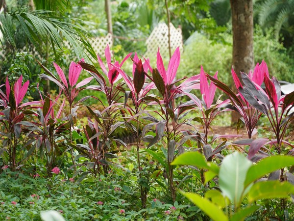 குற்றாலம் குற்றாலம்