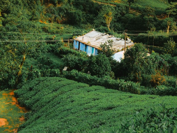 மேகமலை மேகமலை