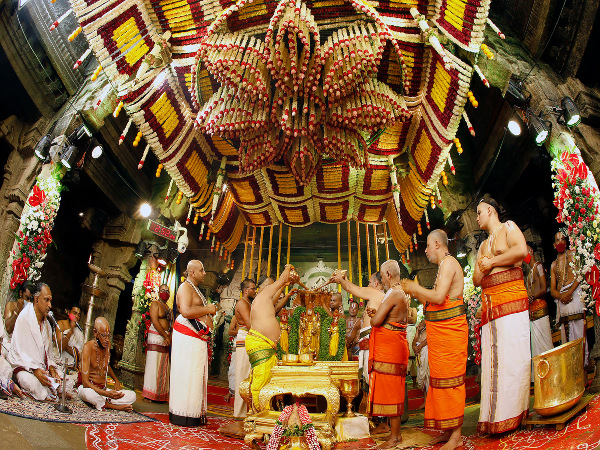 ஏழுமலையான் காணிக்கையை நீங்களும் பார்க்கலாம் ஏழுமலையான் காணிக்கையை நீங்களும் பார்க்கலாம்