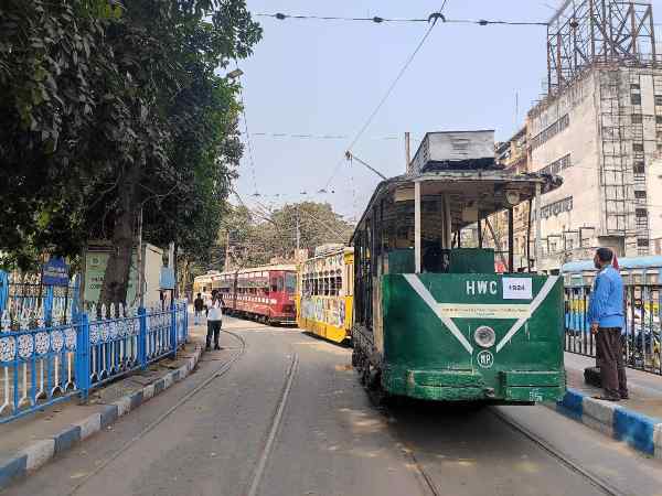 மக்களின் இதயங்களை ஆளும் டிராம்கள்