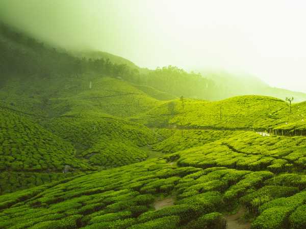 ஊட்டியில் சுற்றிப் பார்க்க வேண்டிய இடங்கள் ஊட்டியில் சுற்றிப் பார்க்க வேண்டிய இடங்கள்