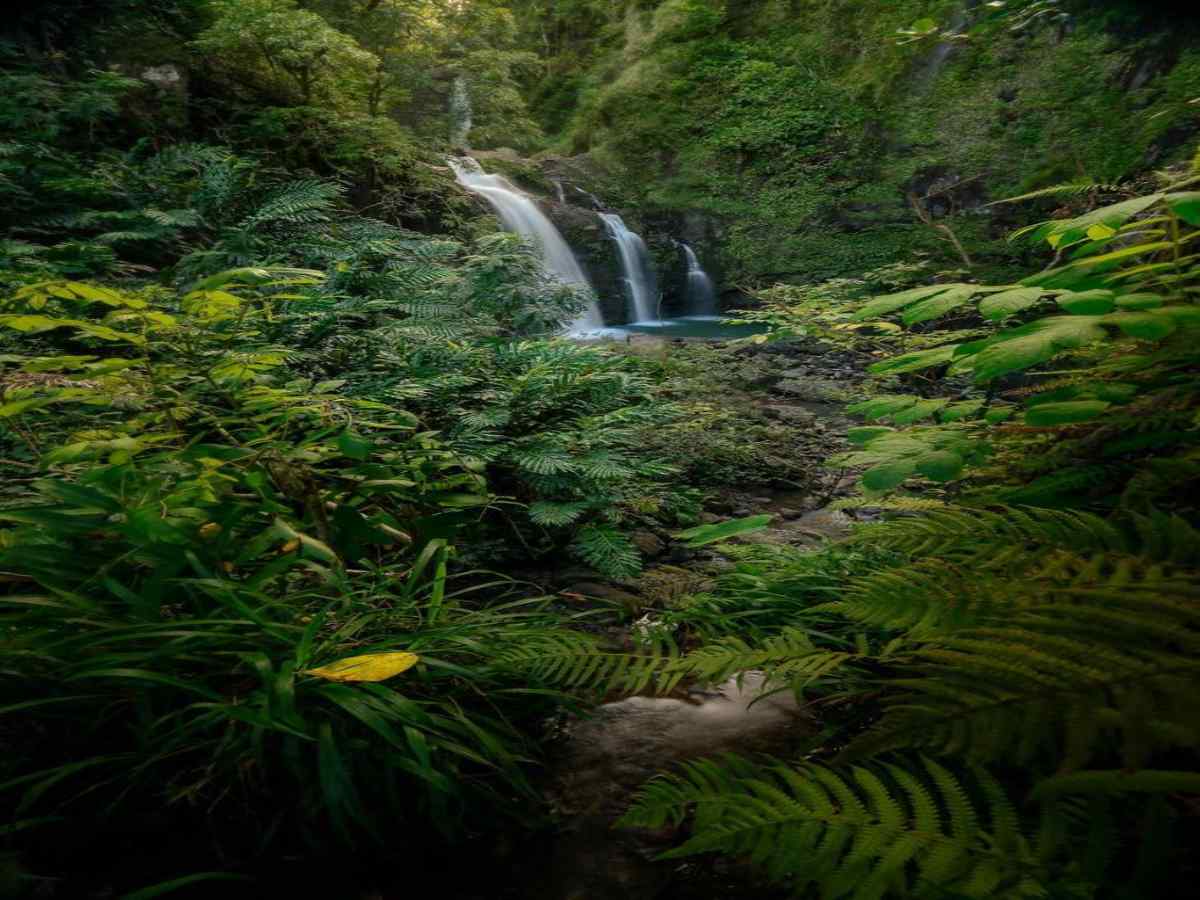 ararewaterfalls