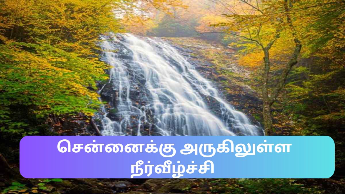 ararewaterfalls