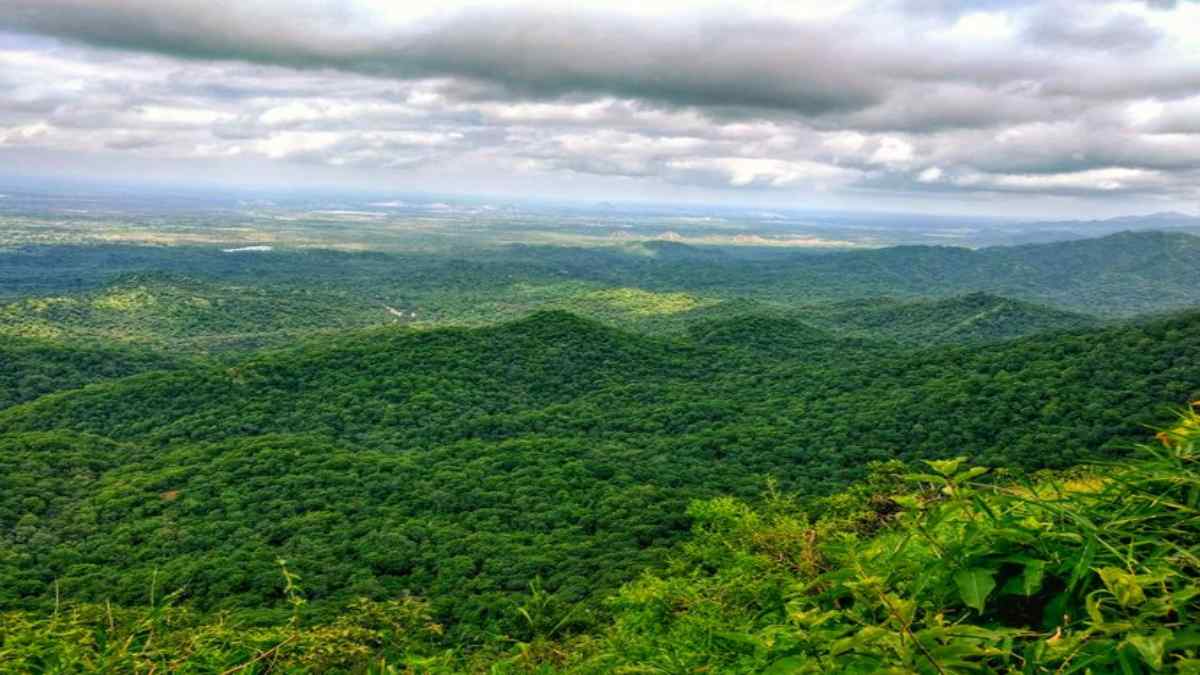 manjumalai1