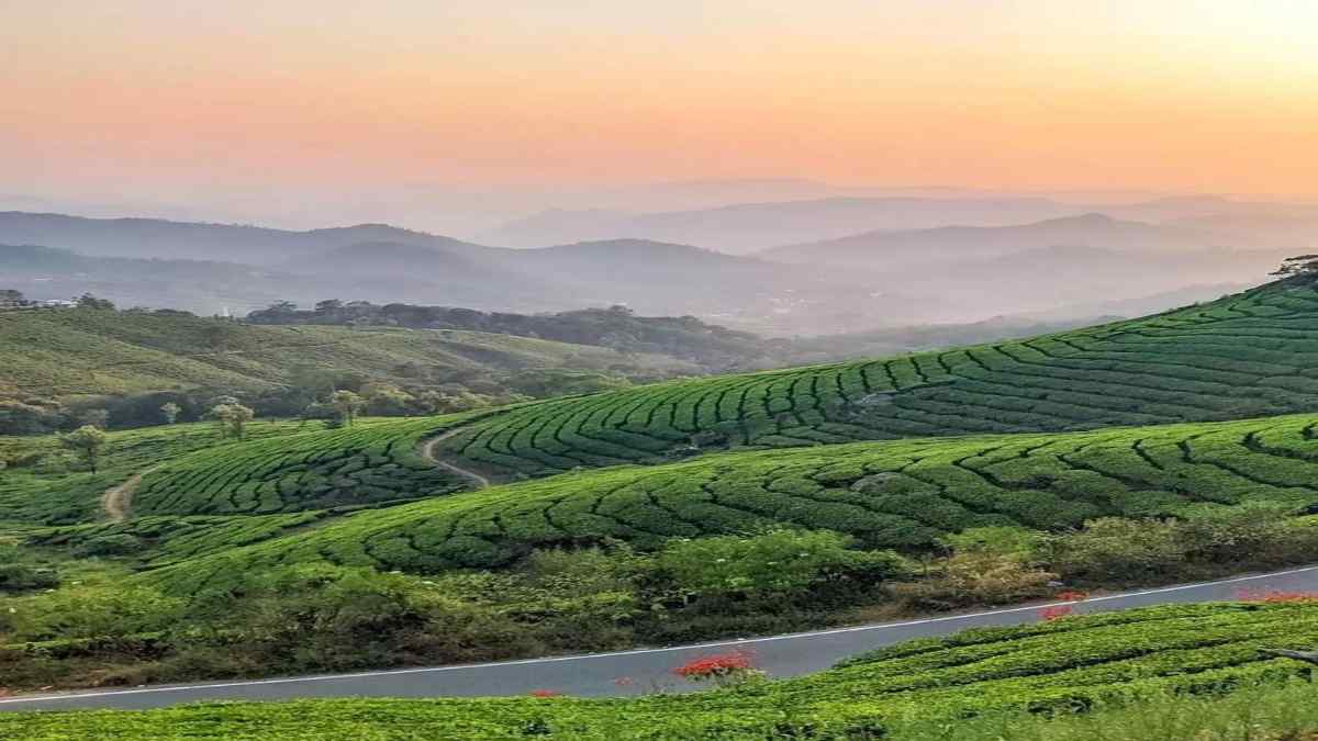 , Chennai to Munnar, Tamilnadu 