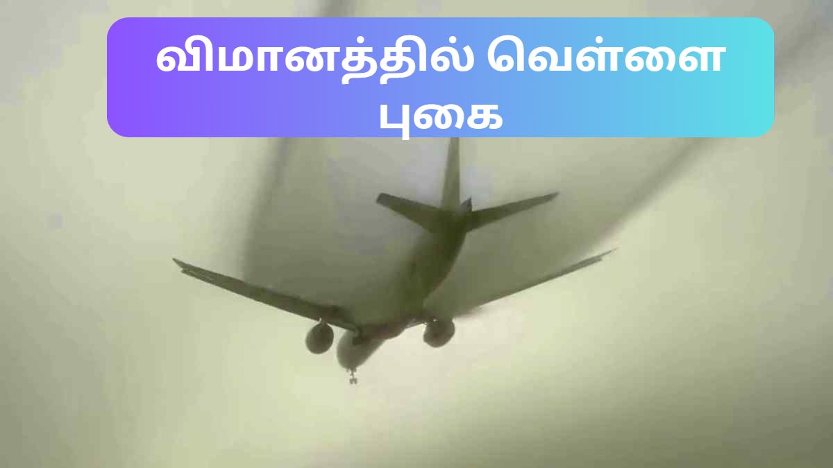 Airline news, Aviation, flight journey