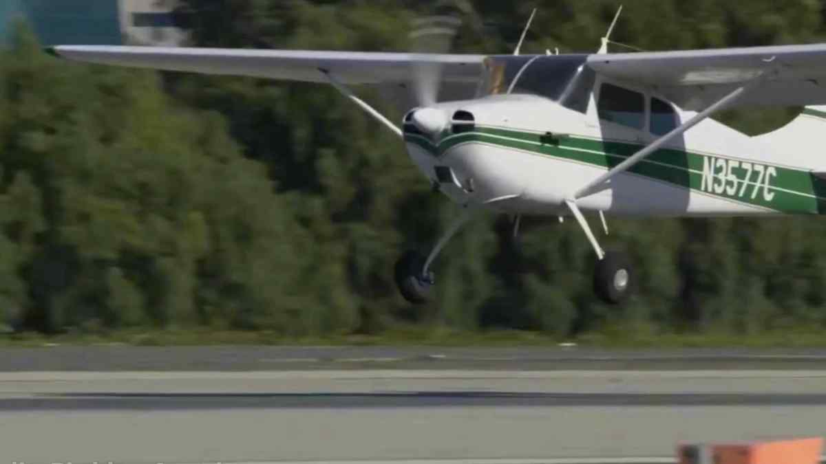 Airline news, Aviation, flight journey