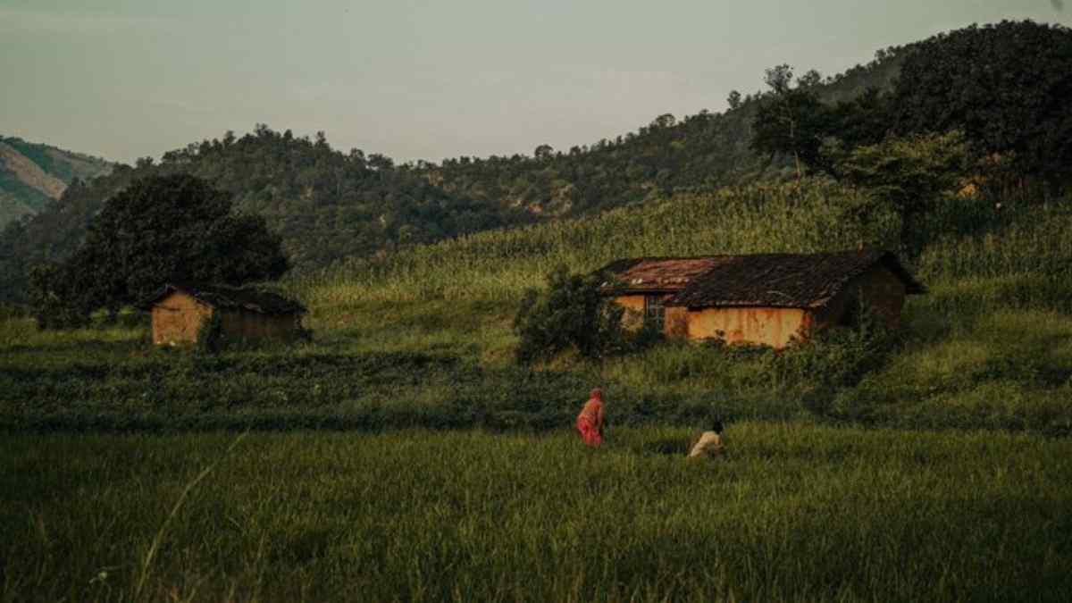bhadrapur1