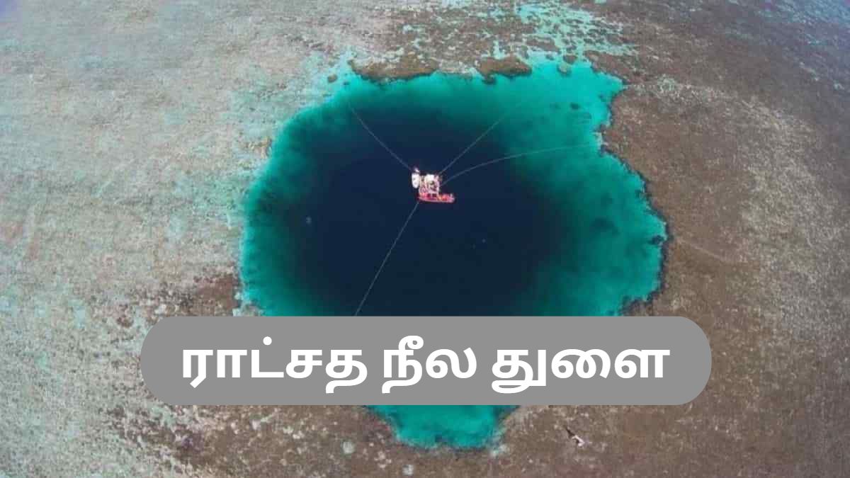 blueholecover blueholecover
