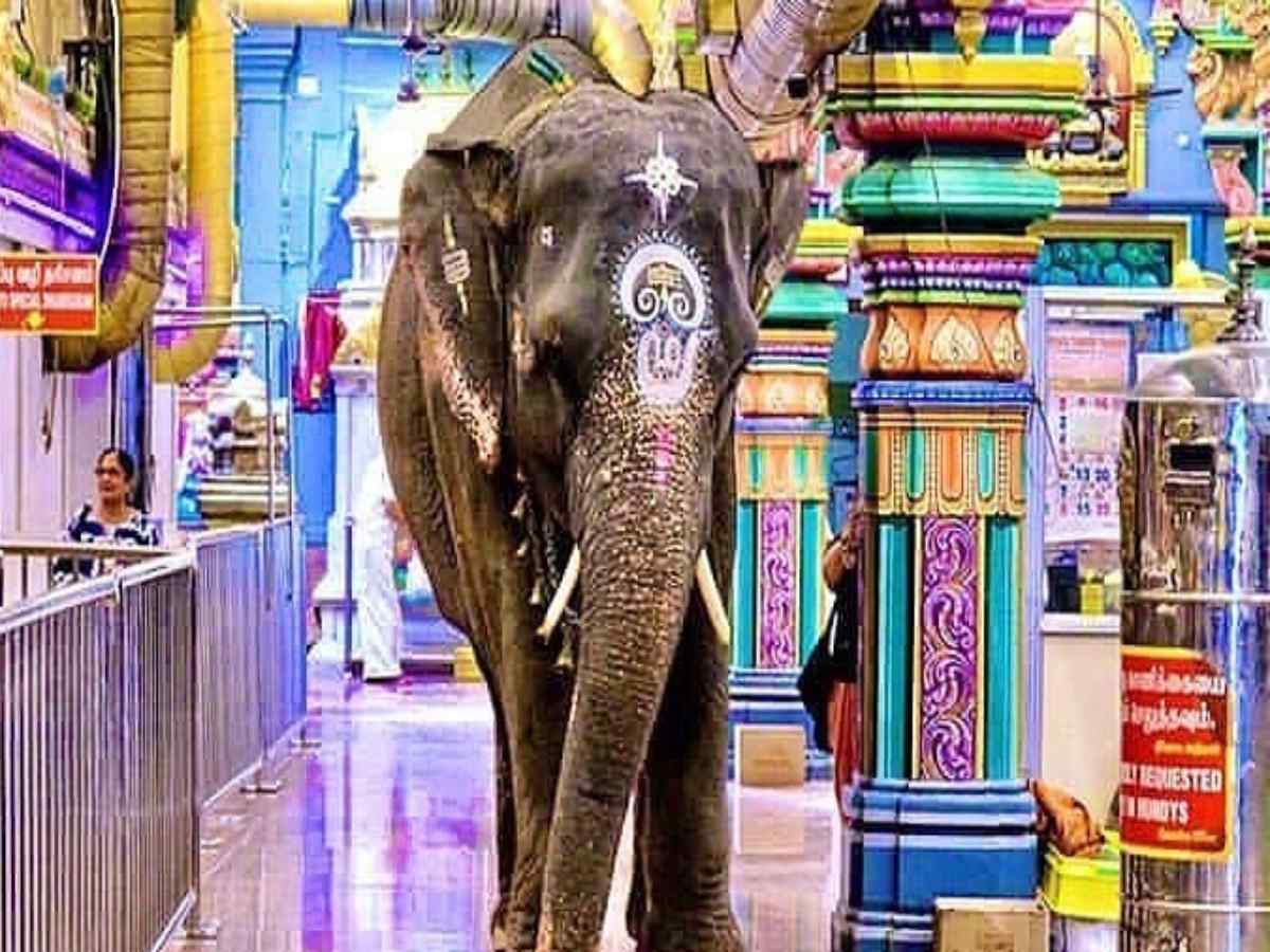 pondicherry 