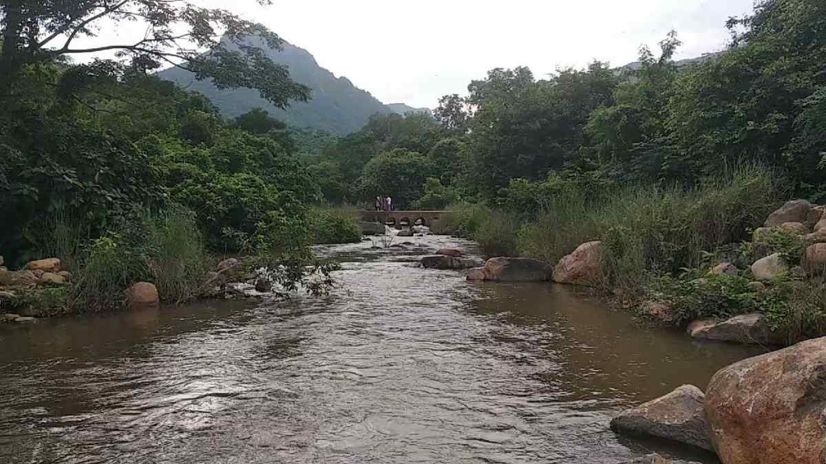 Puliyancholai waterfalls Puliyancholai waterfalls
