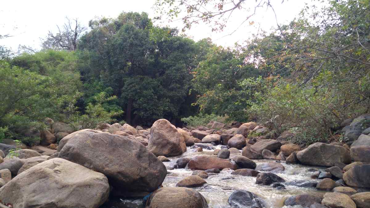 Puliyancholai waterfalls Puliyancholai waterfalls