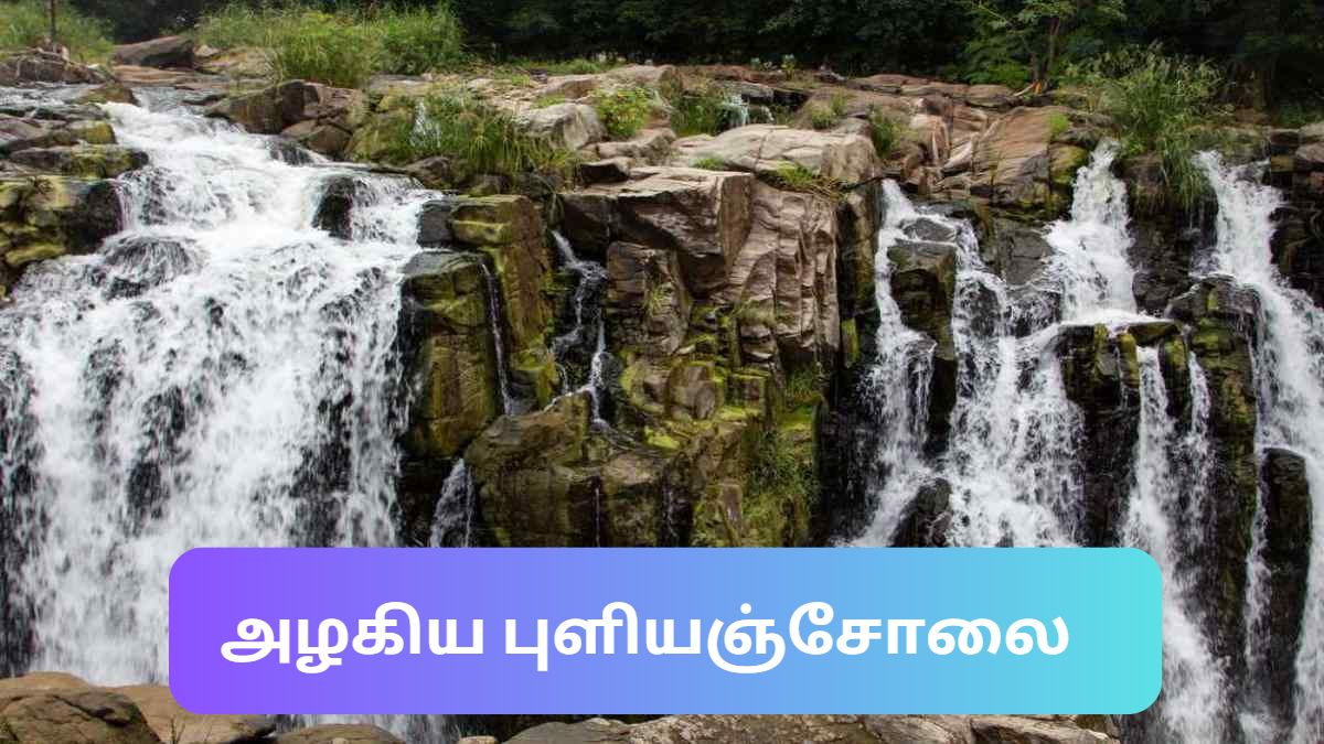 Puliyancholai waterfalls Puliyancholai waterfalls