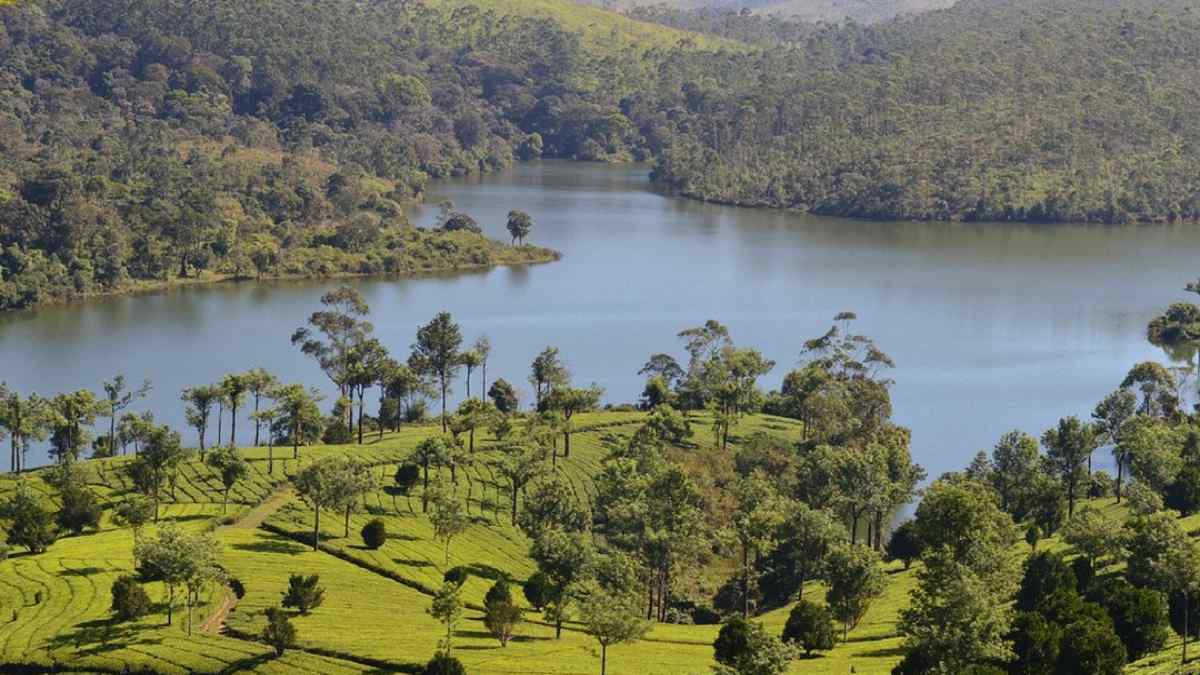 Summer 2023, Chennai to thekkady Summer 2023, Chennai to thekkady