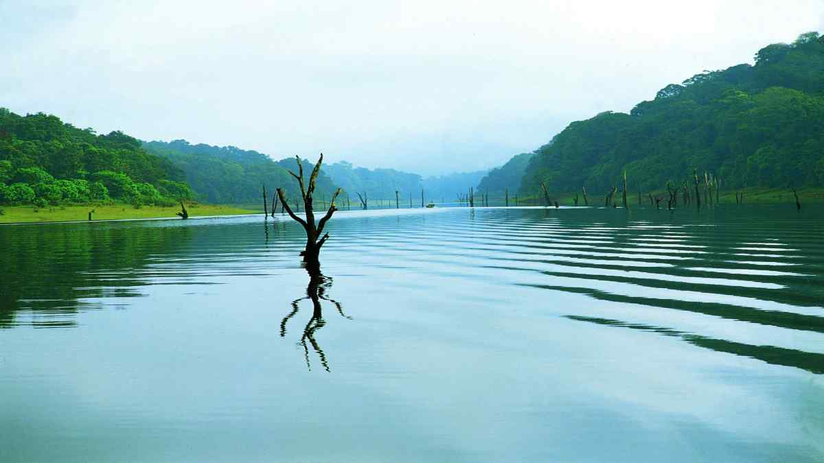 Summer 2023, Chennai to thekkady Summer 2023, Chennai to thekkady
