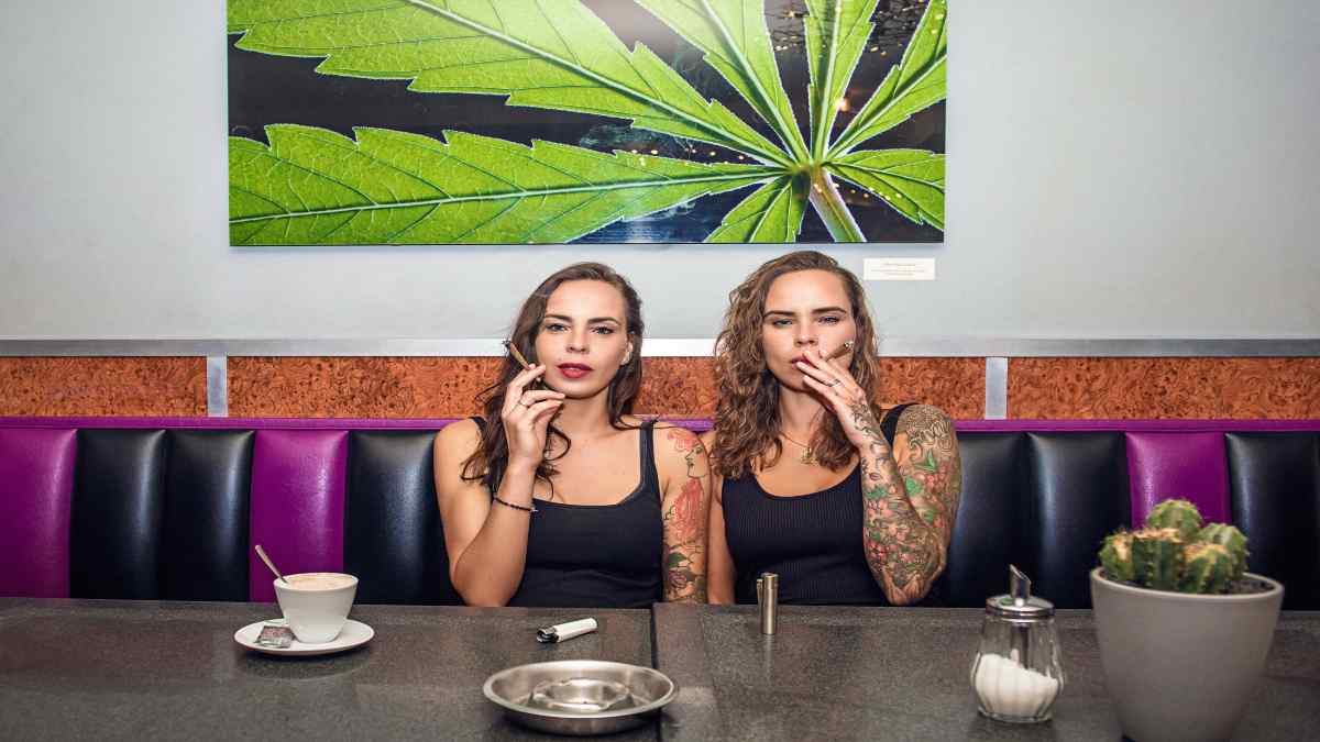 weedmuseum weedmuseum