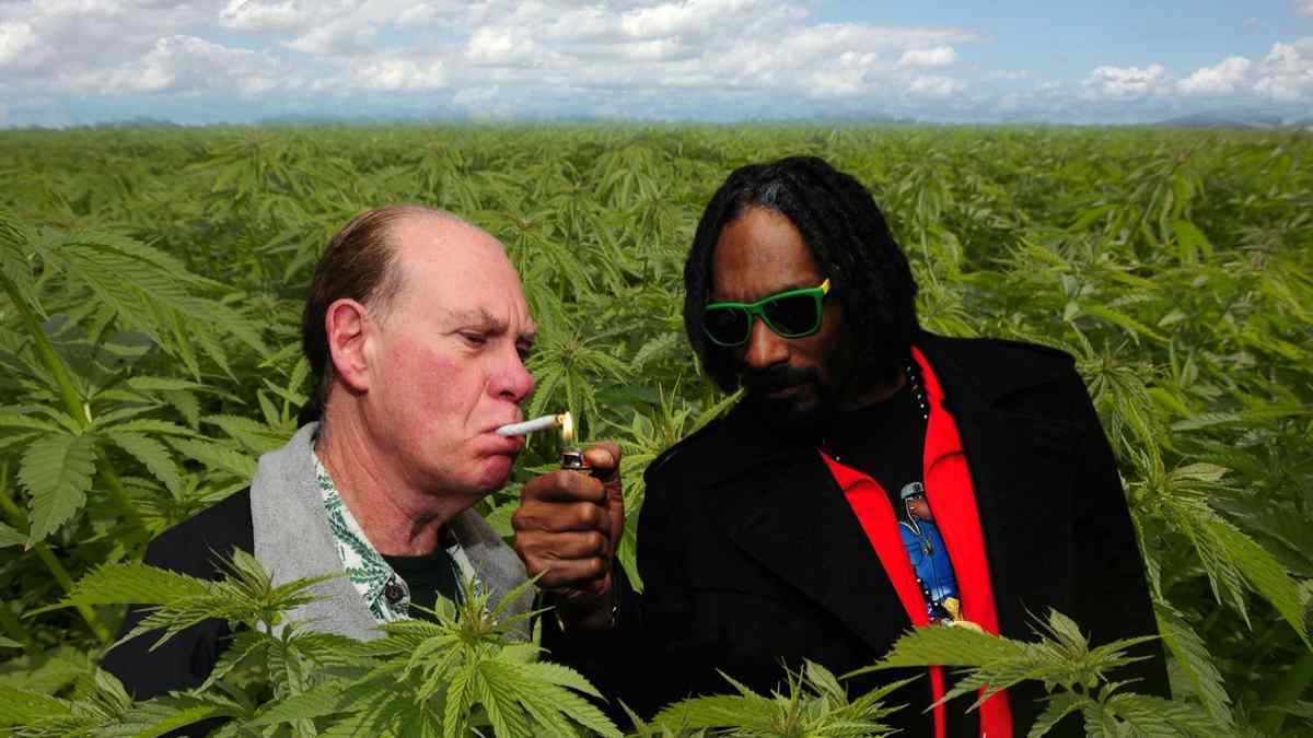 weedmuseum weedmuseum