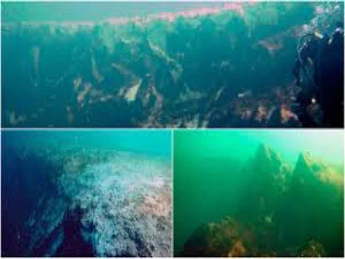 worldsseconddeepestbluehole worldsseconddeepestbluehole
