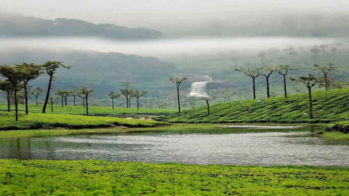 yelagiri1 yelagiri1