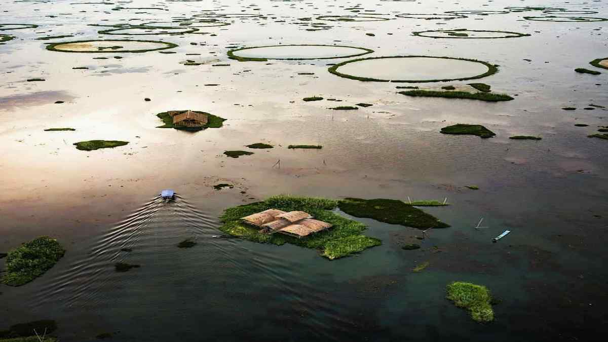 floating national park in the world is in India - loktak lake guide 