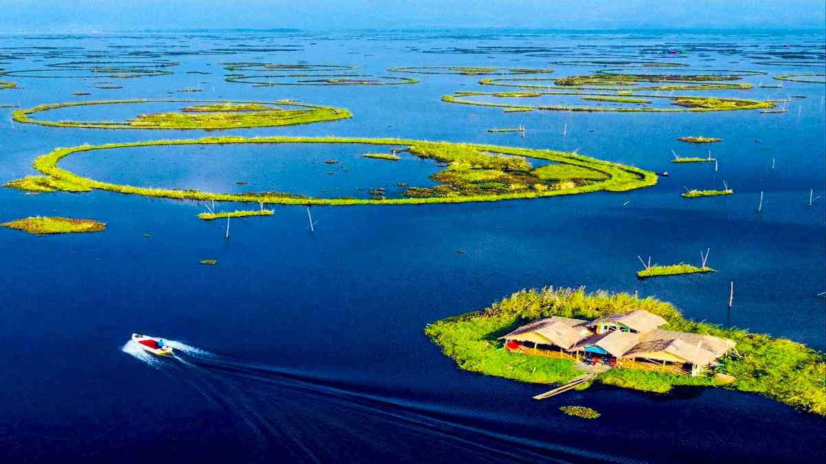 floating national park in the world is in India - loktak lake guide 