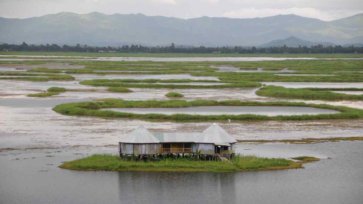 floating national park in the world is in India - loktak lake guide 