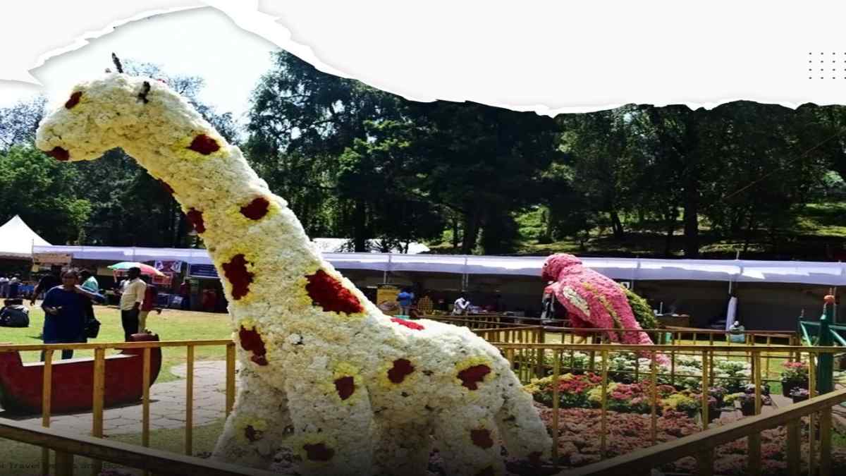 kodaikanal flower show