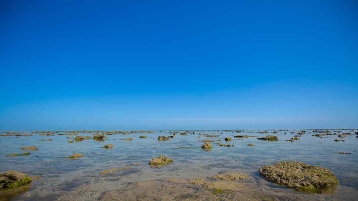 marinenationalparkgujarat1