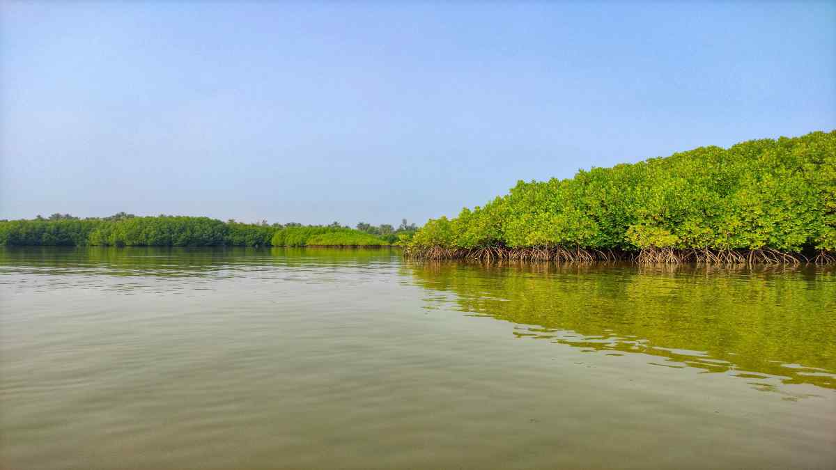 odisha odisha