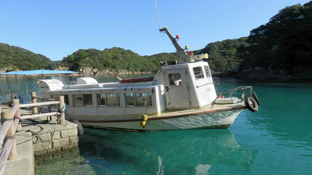 ashizuriunderwaterobservation ashizuriunderwaterobservation