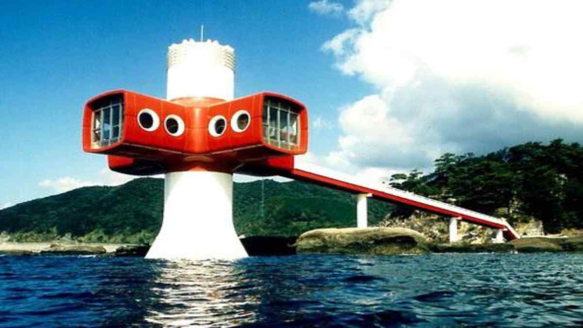 ashizuriunderwaterobservation ashizuriunderwaterobservation