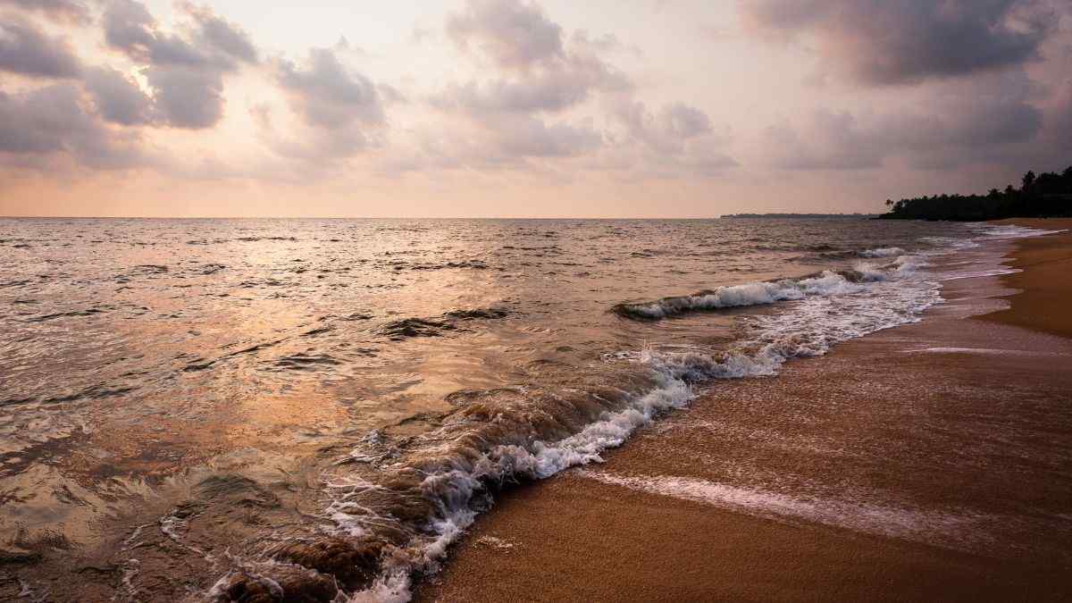 firstindiandistricttogoplasticfree