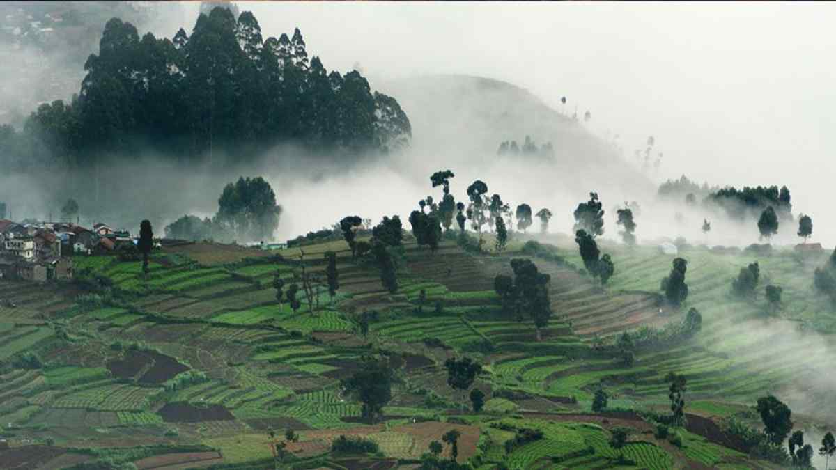 kodaikanal kodaikanal