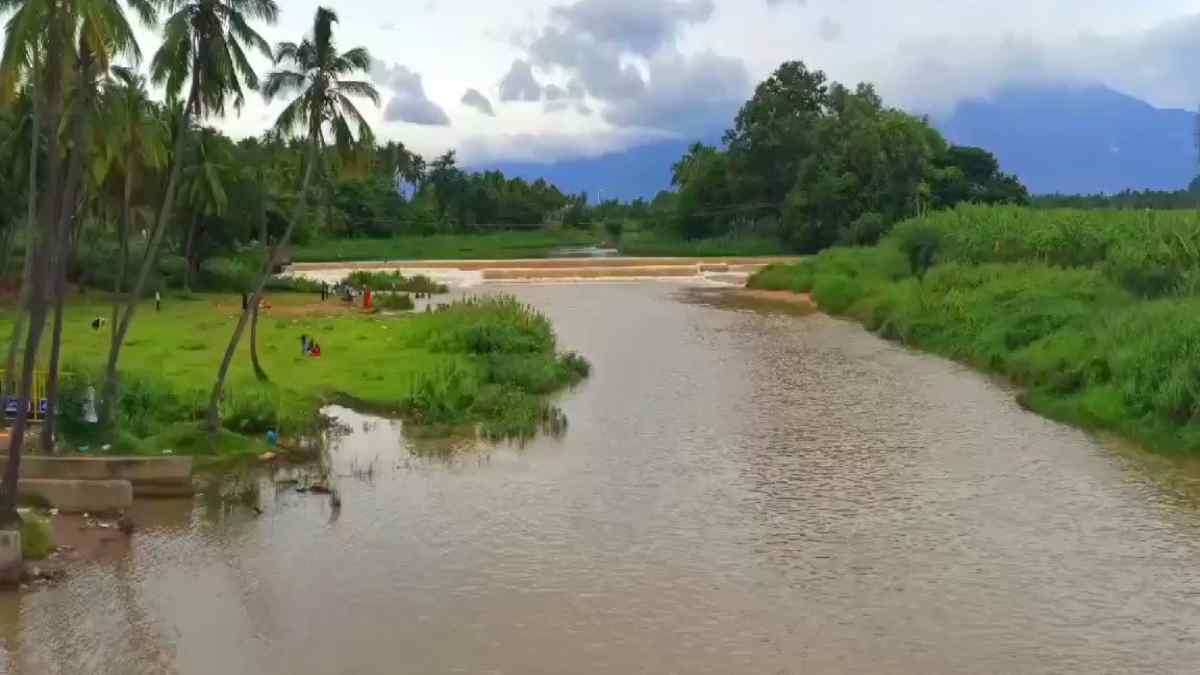 theni theni