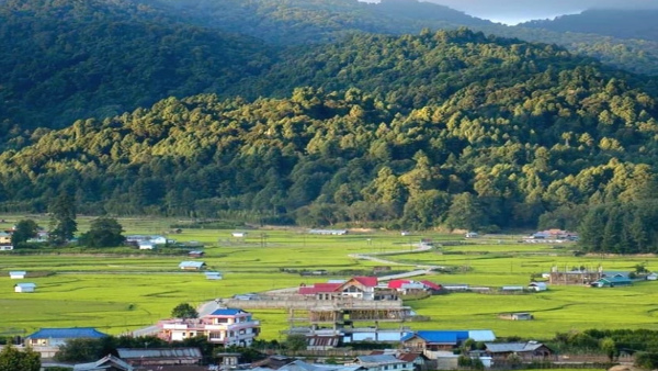 ziro