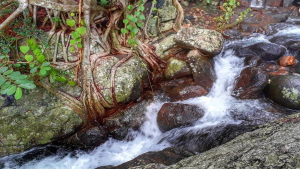 ayyanarfalls1
