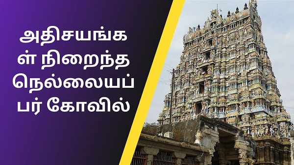 Tirunelveli city nellaiappar temple Tirunelveli city nellaiappar temple