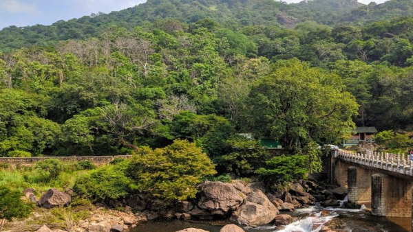 tirunelveli tirunelveli