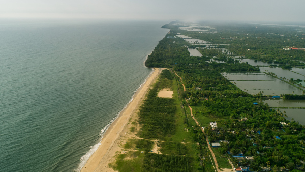 kochibeach kochibeach