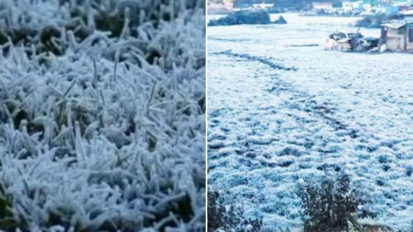 ootyfaces0degreetemperature ootyfaces0degreetemperature