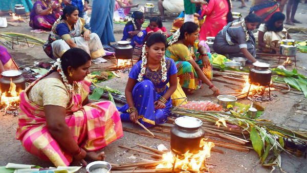 pongal in foreign countries pongal in foreign countries
