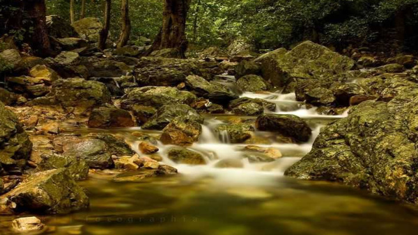 tadawaterfalls1 tadawaterfalls1