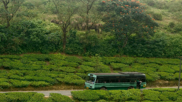 valparai places valparai places