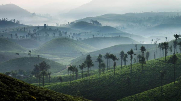 valparai treks valparai treks